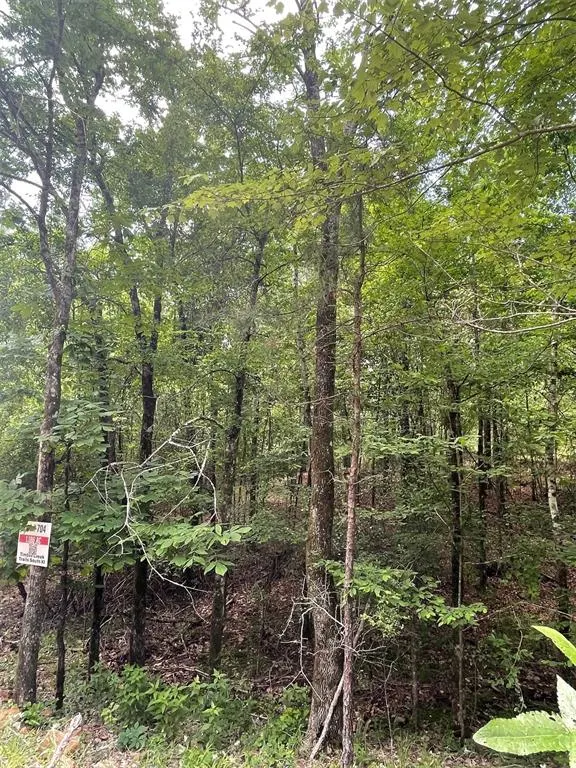 Photo 4 — 704 Timber Creek Trails South XI, Broken Bow, OK 74728