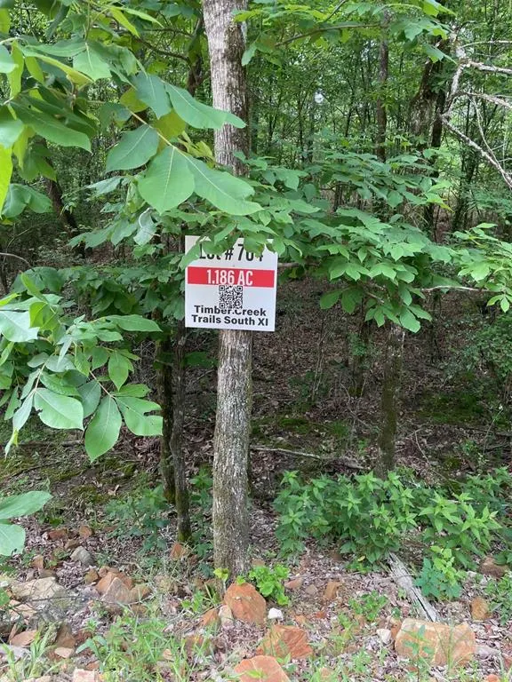 Photo 5 — 704 Timber Creek Trails South XI, Broken Bow, OK 74728