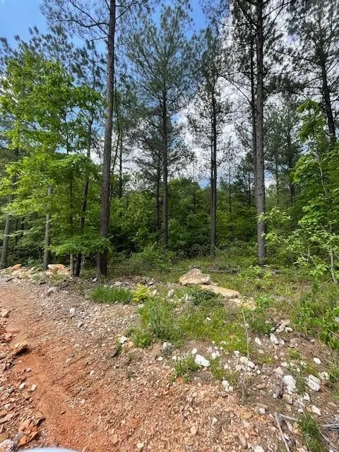 Photo 2 — 705 Timber Creek Trails South XI, Broken Bow, OK 74728