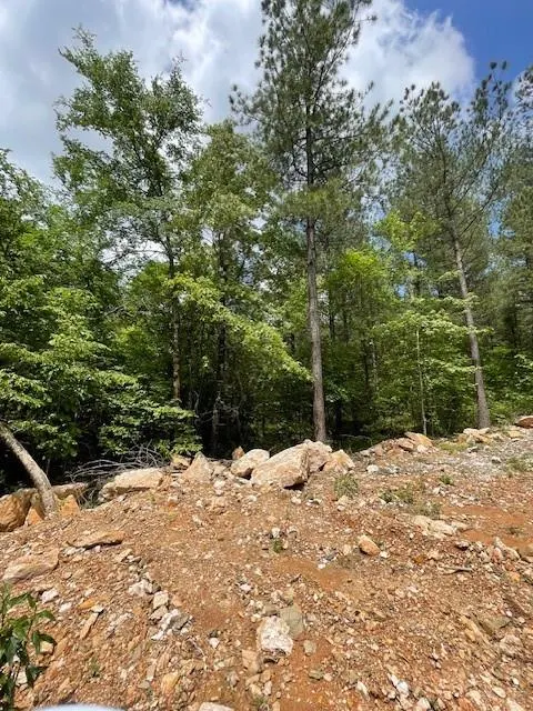 Photo 3 — 705 Timber Creek Trails South XI, Broken Bow, OK 74728