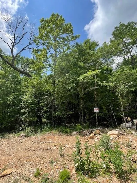 Photo 2 — 706 Timber Creek Trails South XI, Broken Bow, OK 74728
