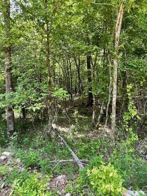 Photo 3 — 706 Timber Creek Trails South XI, Broken Bow, OK 74728