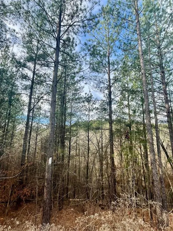 Photo 3 — 707 Timber Creek Trails South XI, Broken Bow, OK 74728