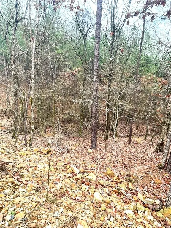 Photo 2 — 708 Timber Creek Trails South XI, Broken Bow, OK 74728