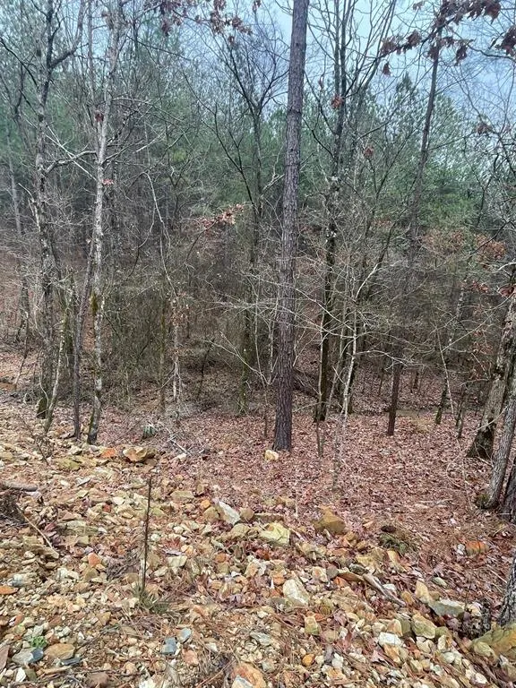 Photo 3 — 708 Timber Creek Trails South XI, Broken Bow, OK 74728