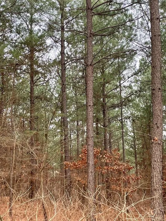 Photo 3 — 709 Timber Creek Trails South XI, Broken Bow, OK 74728