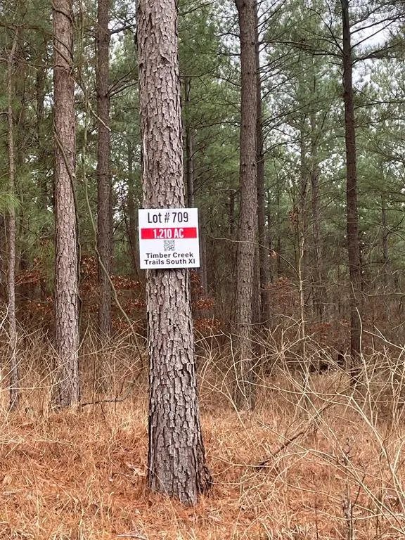Photo 2 — 709 Timber Creek Trails South XI, Broken Bow, OK 74728