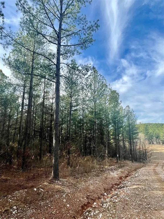 Photo 3 — 710 Timber Creek Trails South XI, Broken Bow, OK 74728