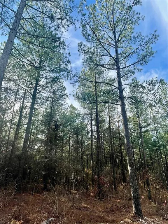 Photo 2 — 710 Timber Creek Trails South XI, Broken Bow, OK 74728