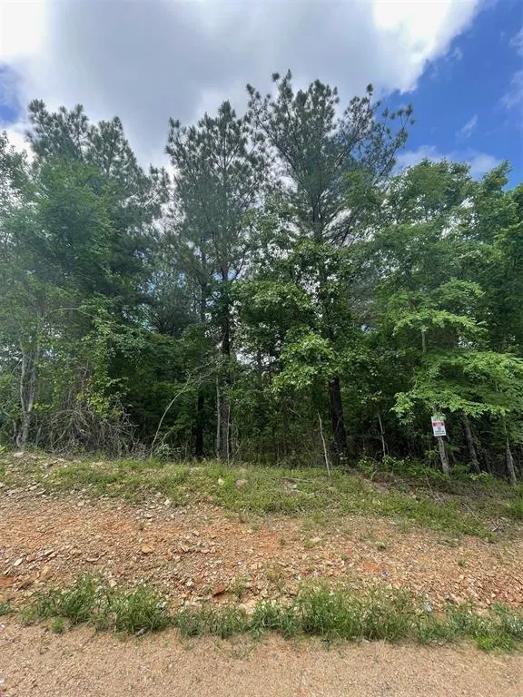 Photo 2 — 711 Timber Creek Trails South XI, Broken Bow, OK 74728