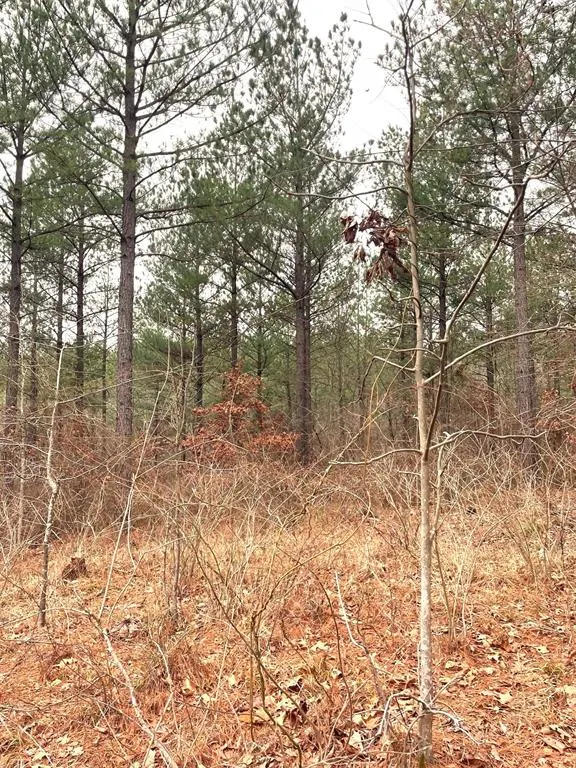 Front exterior — 713 Timber Creek Trails South XI, Broken Bow, OK 74728