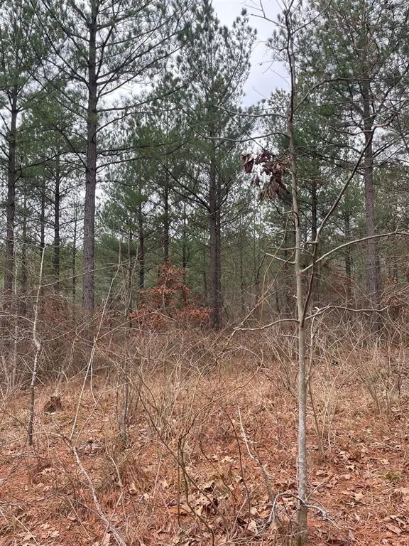 Photo 2 — 713 Timber Creek Trails South XI, Broken Bow, OK 74728