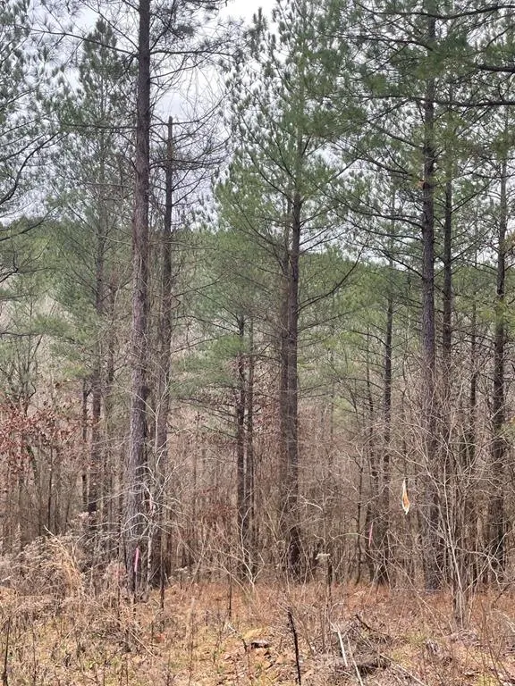 Photo 2 — 715 Timber Creek Trails South XI, Broken Bow, OK 74728