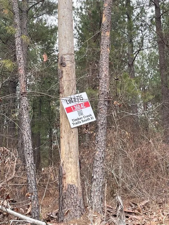 Photo 3 — 715 Timber Creek Trails South XI, Broken Bow, OK 74728