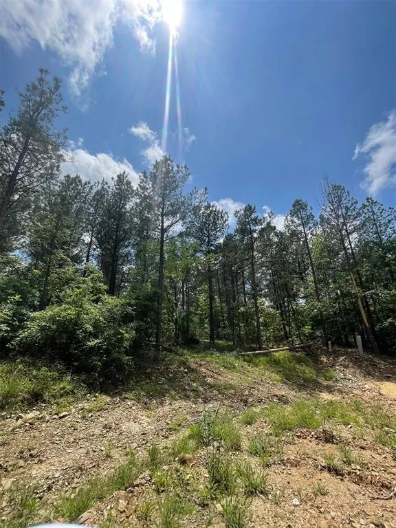 Photo 2 — 716 Timber Creek Trails South XI, Broken Bow, OK 74728