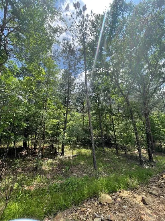 Photo 3 — 716 Timber Creek Trails South XI, Broken Bow, OK 74728