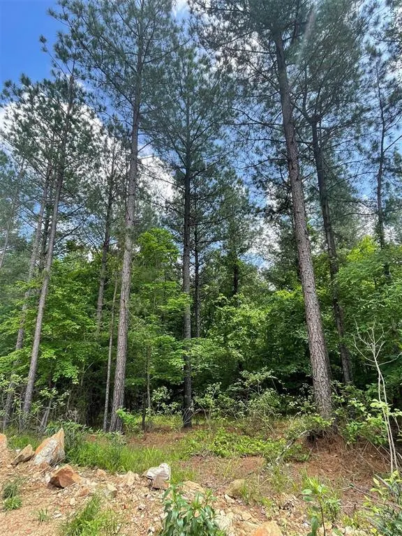 Photo 4 — 716 Timber Creek Trails South XI, Broken Bow, OK 74728