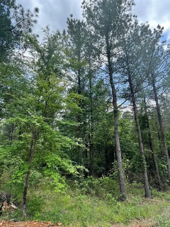Photo 2 — 717 Timber Creek Trails South XI, Broken Bow, OK 74728