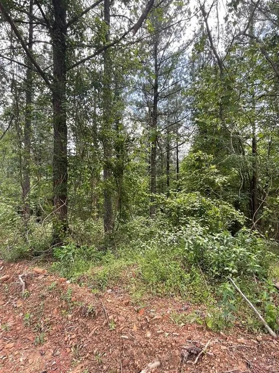 Photo 3 — 717 Timber Creek Trails South XI, Broken Bow, OK 74728