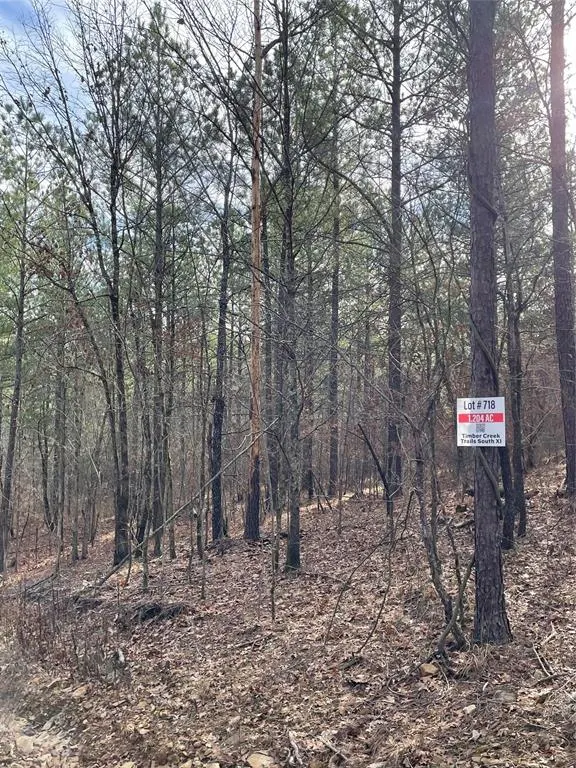 Photo 3 — 718 Timber Creek Trails South XI, Broken Bow, OK 74728