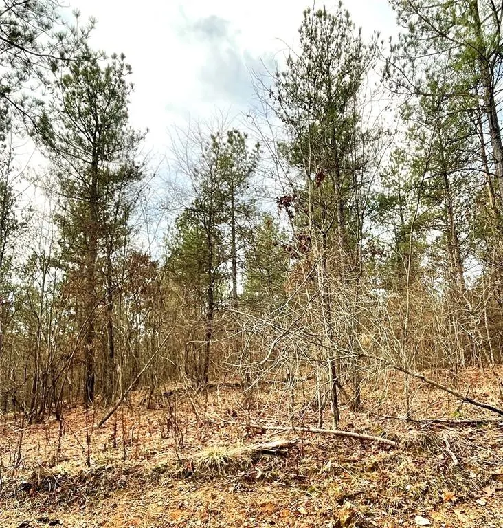 Photo 2 — 720 Timber Creek Trails South XI, Broken Bow, OK 74728