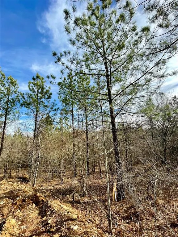 Front exterior — 723 Timber Creek Trails South XI, Broken Bow, OK 74728