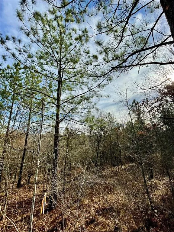 Photo 2 — 723 Timber Creek Trails South XI, Broken Bow, OK 74728