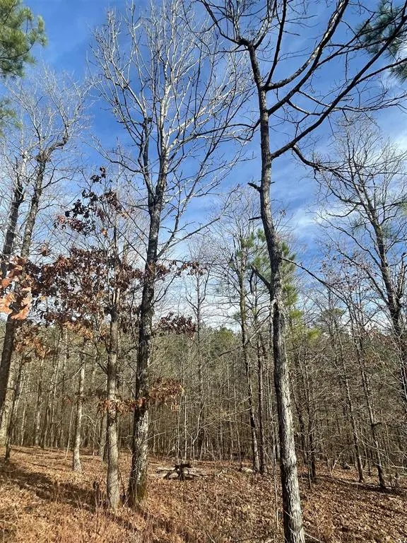 Photo 2 — 725 Timber Creek Trails South XI, Broken Bow, OK 74728