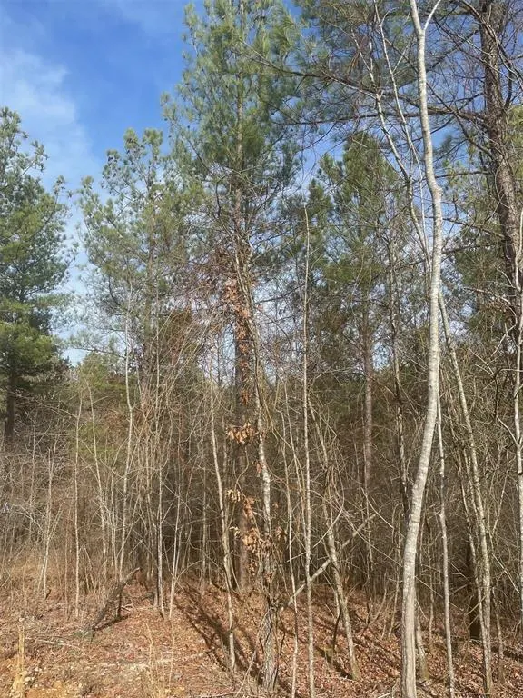 Photo 3 — 726 Timber Creek Trails South XI, Broken Bow, OK 74728
