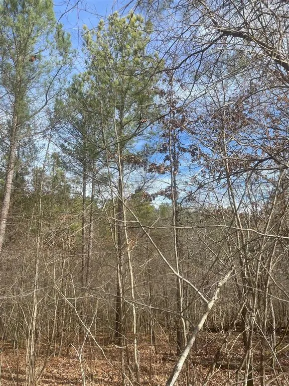 Photo 2 — 726 Timber Creek Trails South XI, Broken Bow, OK 74728
