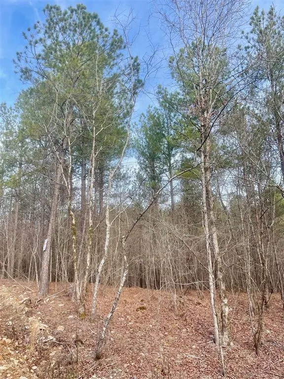 Photo 4 — 727 Timber Creek Trails South XI, Broken Bow, OK 74728