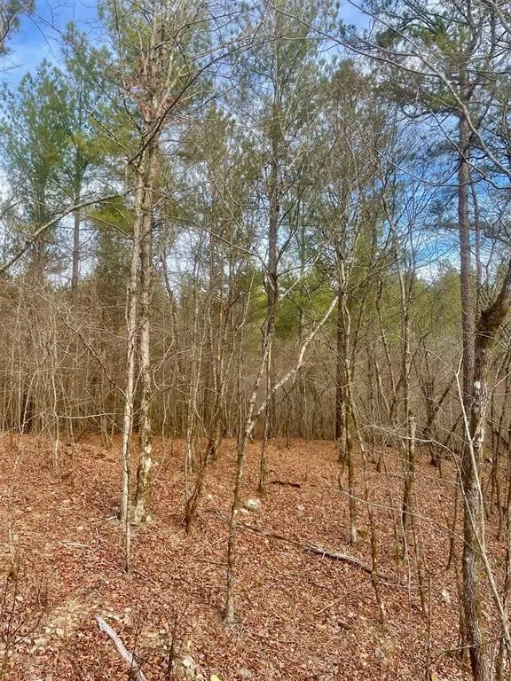 Photo 3 — 727 Timber Creek Trails South XI, Broken Bow, OK 74728