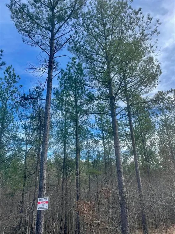 Photo 3 — 728 Timber Creek Trails South XI, Broken Bow, OK 74728