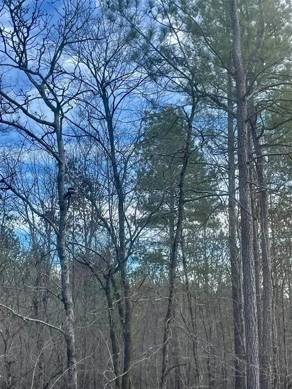 Photo 4 — 728 Timber Creek Trails South XI, Broken Bow, OK 74728