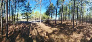 Sold home at Timberline Trail