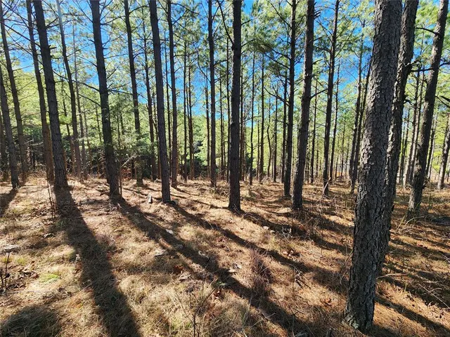 Photo 3 — Timberline Trail, Broken Bow, OK 74728