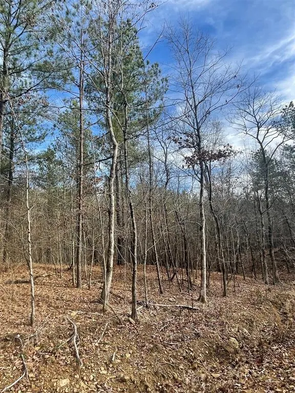 Photo 3 — 729 Timber Creek Trails South XI, Broken Bow, OK 74728