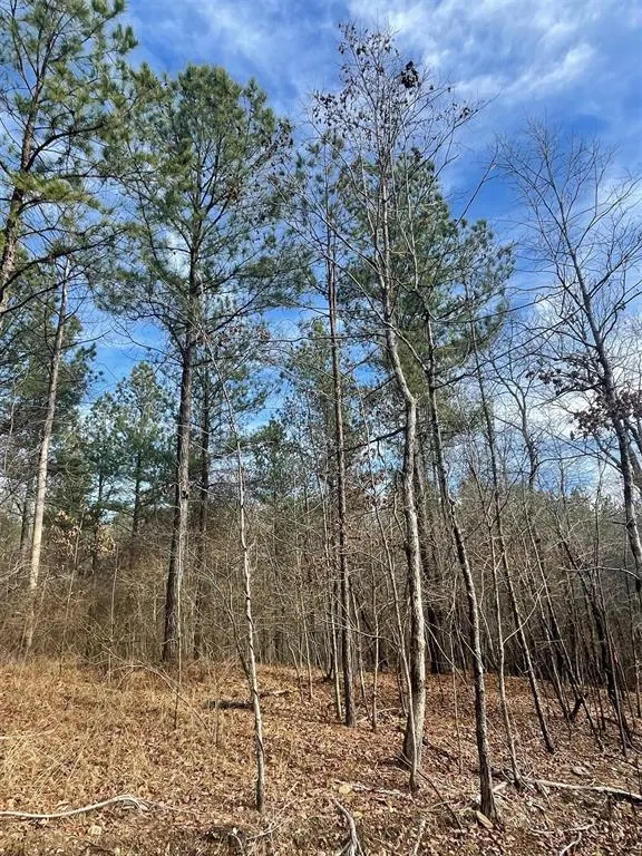 Photo 2 — 729 Timber Creek Trails South XI, Broken Bow, OK 74728