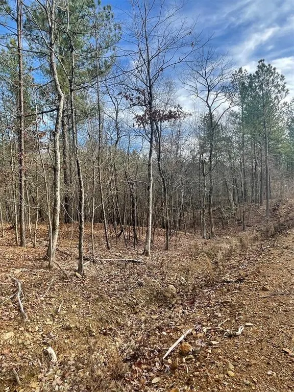 Photo 4 — 729 Timber Creek Trails South XI, Broken Bow, OK 74728