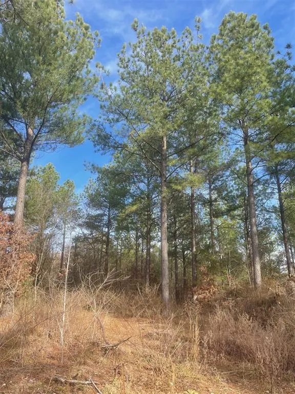 Photo 3 — 730 Timber Creek Trails South XI, Broken Bow, OK 74728