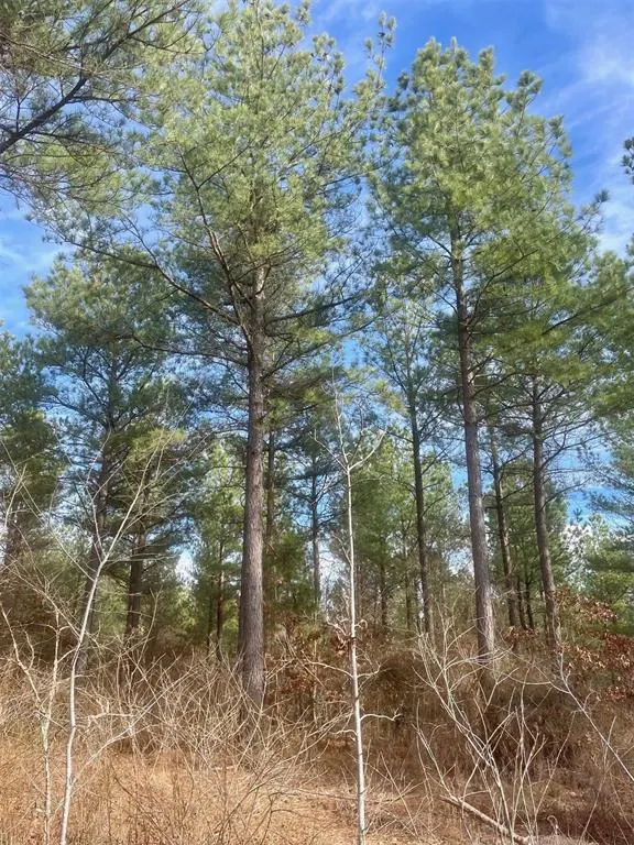Photo 2 — 730 Timber Creek Trails South XI, Broken Bow, OK 74728