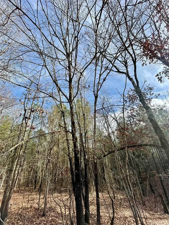 Photo 3 — 731 Timber Creek Trails South XI, Broken Bow, OK 74728