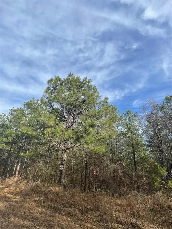 Photo 3 — 732 Timber Creek Trails South XI, Broken Bow, OK 74728
