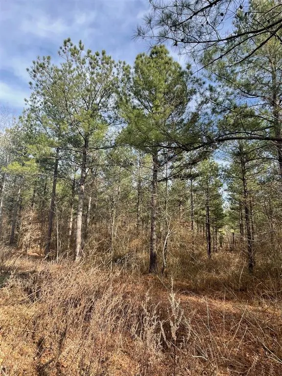 Photo 2 — 732 Timber Creek Trails South XI, Broken Bow, OK 74728