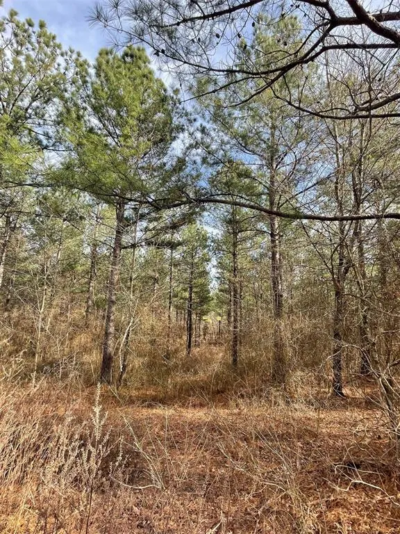 Photo 4 — 732 Timber Creek Trails South XI, Broken Bow, OK 74728
