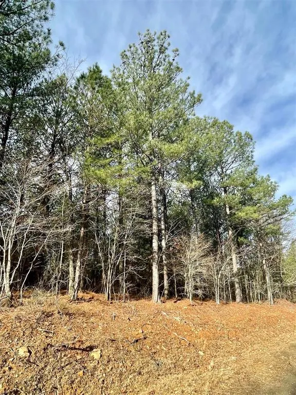 Photo 3 — 733 Timber Creek Trails South XI, Broken Bow, OK 74728