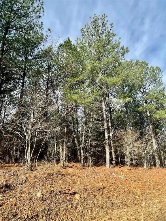 Photo 2 — 733 Timber Creek Trails South XI, Broken Bow, OK 74728