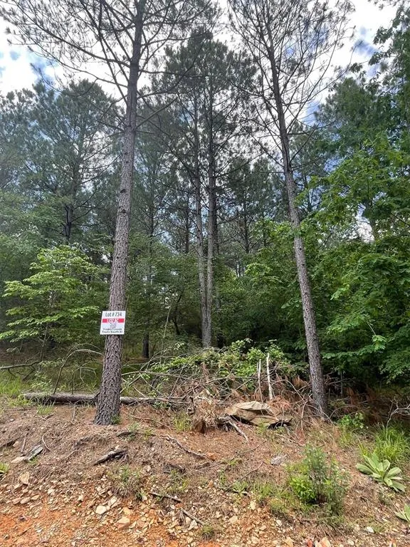 Photo 3 — 734 Timber Creek Trails South XI, Broken Bow, OK 74728