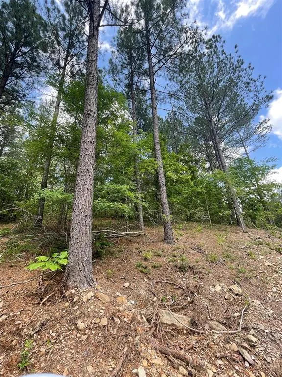 Photo 2 — 735 Timber Creek Trails South XI, Broken Bow, OK 74728