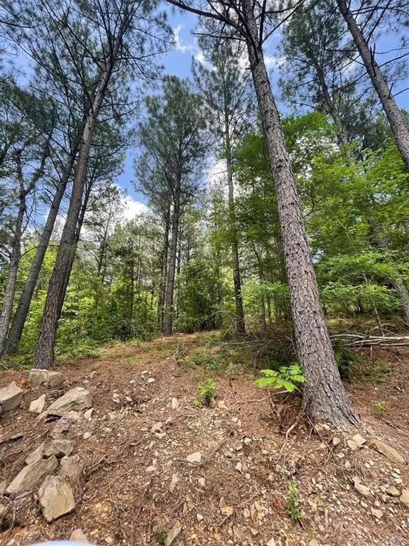 Photo 3 — 735 Timber Creek Trails South XI, Broken Bow, OK 74728